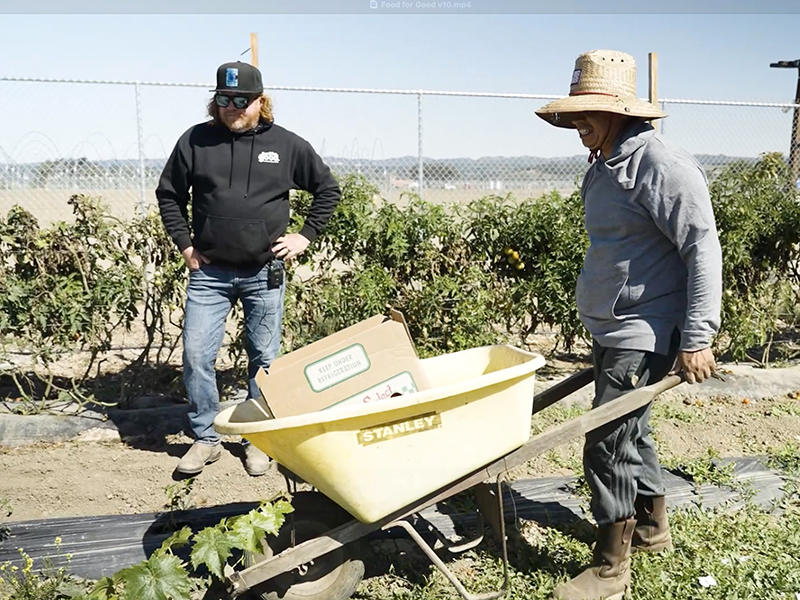 Two workers in field with wheelbarrow