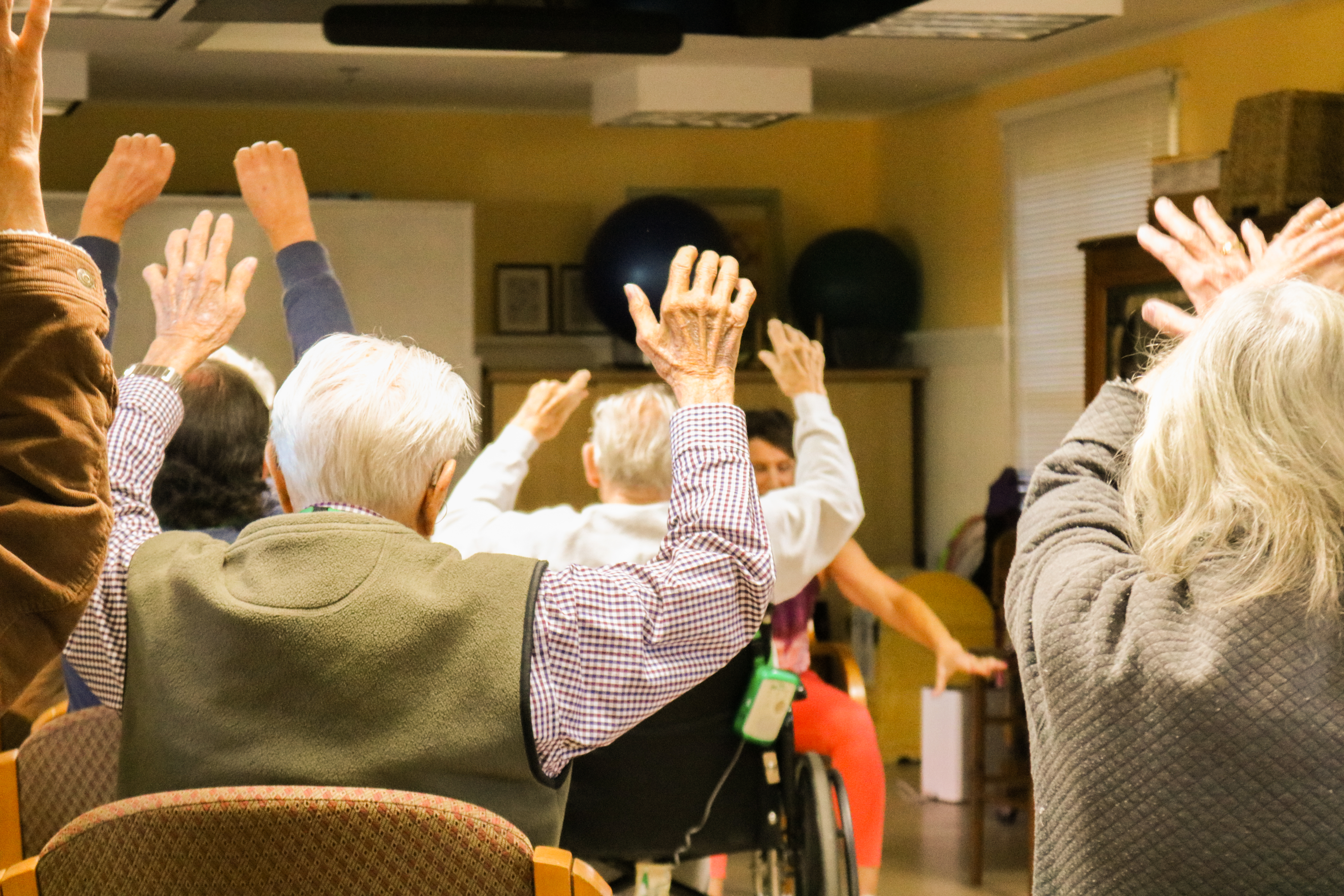 Older adults participating in group activity