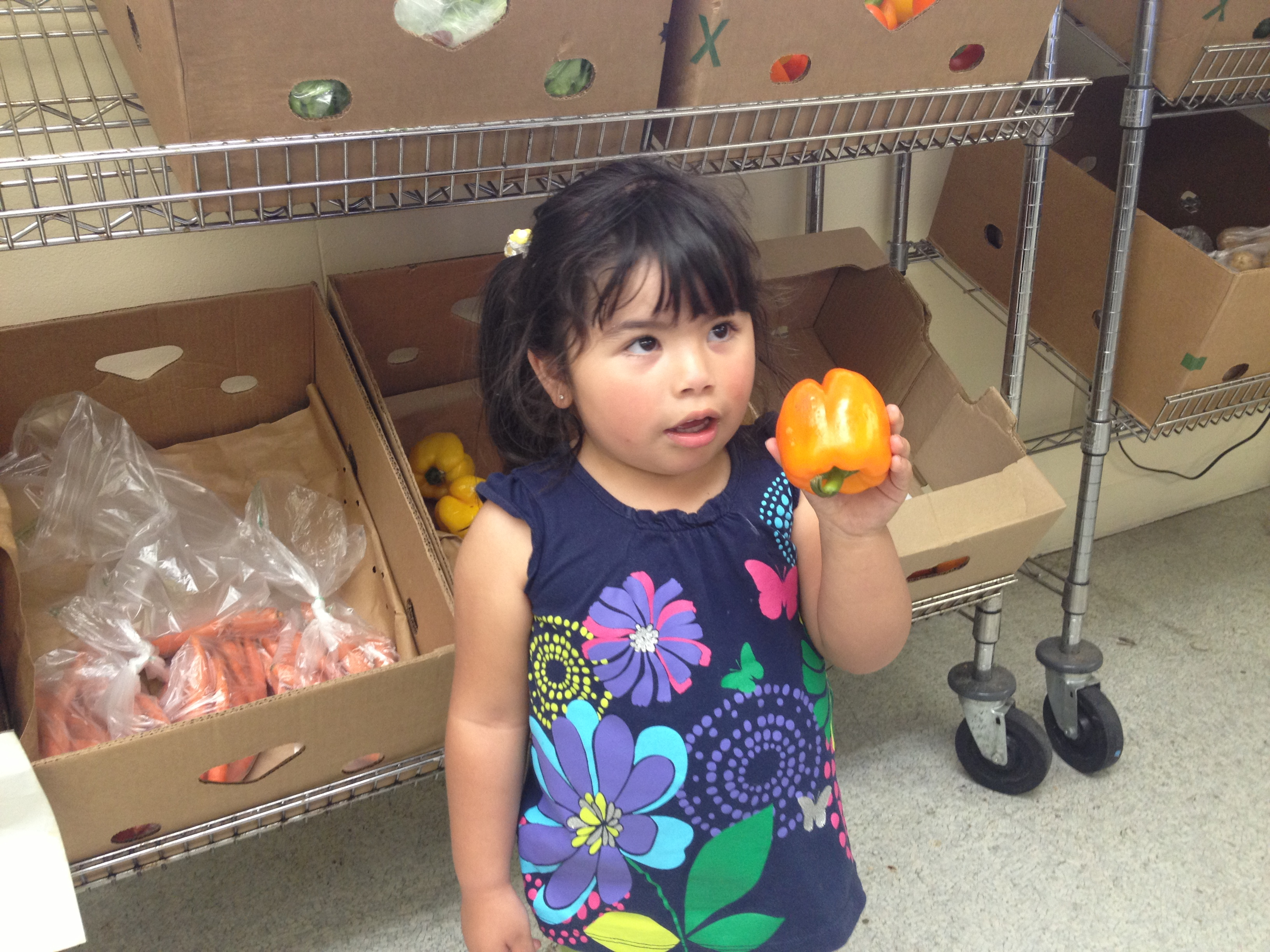 Catholic Charities: food pantry with little girl customer