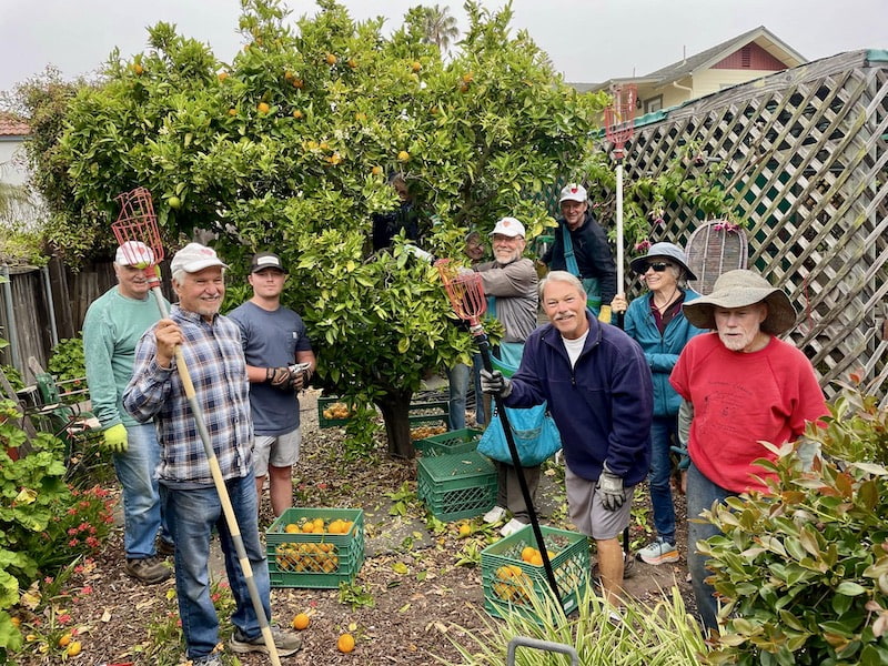 Food from the Heart volunteers picking fruit