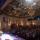 COG 2026