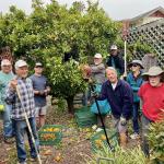 Food from the Heart volunteers picking fruit